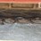agco-3309-image-15