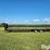 2014-bigtex-gooseneck-35'-t/a-flatbed-trailer-image-8