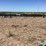 dose-head-hunter-42’-header-trailer-image-4