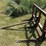 bale-spear-image-6