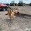 rhino-10’-3-pt.-blade-image-1
