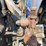 leyland-384-image-29