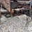2001-sterling-truck-(dr11851-unit-9459)-image-55