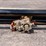 2024-wood-mizer-lt40-image-54