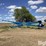 brandt-10x60-image-3