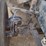 2017-freightliner-122sd-image-25