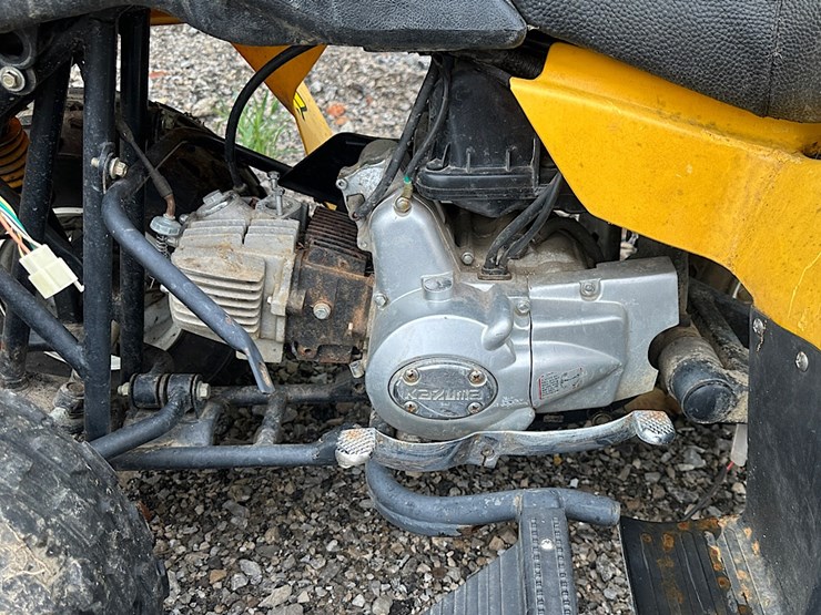 zebra-international-youth-atv-image-5