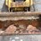 2020-caterpillar-289d3-image-11