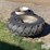 18.4-38-clamp-on-duals-image-2
