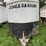 82-1/2”-x-14-1/2ft-enclosed-trailer-image-3