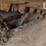 2020-takeuchi-tl8-image-34
