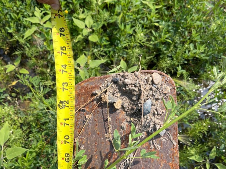 pallet-forks-image-3