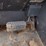 2013-gehl-rs12-42-image-8