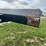 rail-trailer-image-18