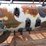 agco-8200-image-9