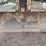 1999-caterpillar-d5c-xl-iii-image-16