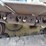 2014-caterpillar-d5k2-lgp-image-39