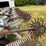 hiniker-6000-image-8