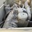 ingersoll-rand-dd23-image-5
