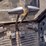 2006-deere-35d-image-8