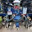 2014-blu-jet-at6020-nh3-tool-bar-(jn2533)-image-38