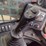 takeuchi-tl10v2-image-9