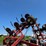 case-ih-5300-image-21
