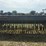 john-deere-8300-image-5