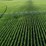 283-acres-of-franklin-county-real-estate-image-4