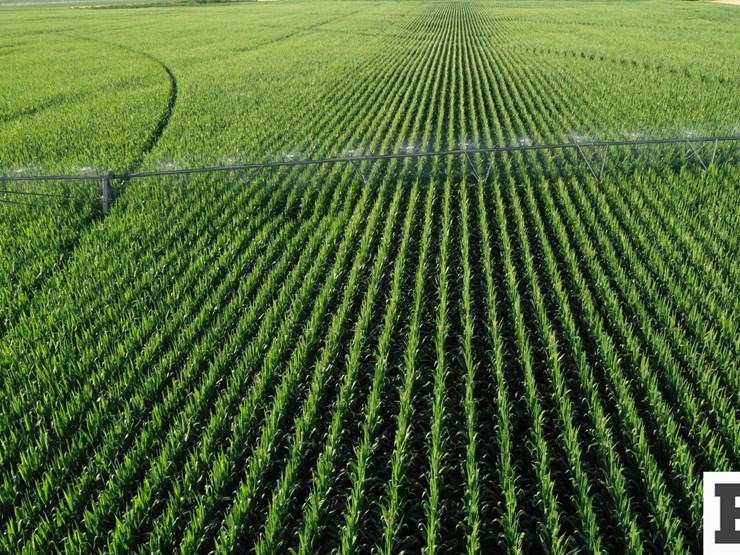 283-acres-of-franklin-county-real-estate-image-4