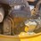2011-caterpillar-303.5d-cr-image-19