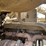 1997-cummins-m11-image-55