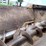 kuhn-knight-8118-image-29