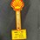 1046---misc.-shell-memorbilia-image-3