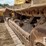 1999-caterpillar-d4c-xl-iii-image-22