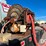 2007-international-durastar-4300-image-48