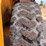 2014-caterpillar-950m-image-47