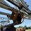 wylie-1200-image-16