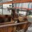 weigh-buggy-(dr11844)-image-5