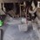 2017-international-durastar-4300-image-10