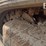2019-takeuchi-tl6r-image-25