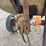 sprayer-image-9