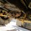 new-holland-545d-image-18