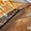 willmar-600-image-32