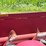 2010-case-ih-3412-image-29
