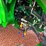 2018-john-deere-4052r-image-30