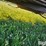 2000-bush-hog-2615l-image-20