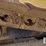 2004-komatsu-d65ex-15-image-37