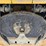 2019-tico-spotter-image-14