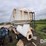 doyle-dry-tender-box-(gp11011)-image-8